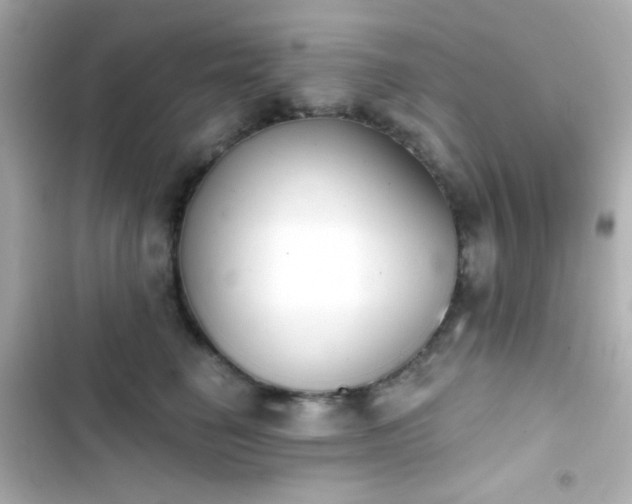 X0000103930662200809191352