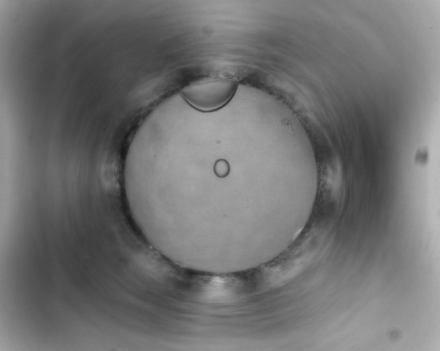 X0000103930663200809191352