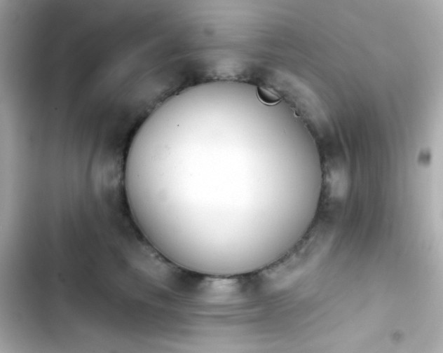 X0000103930665200809191352