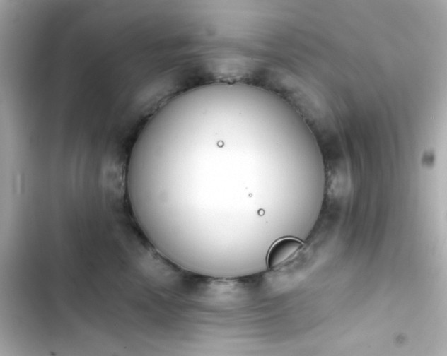 X0000103930666200809191352