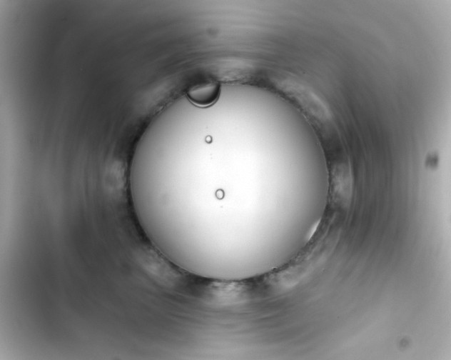 X0000103930667200809191352