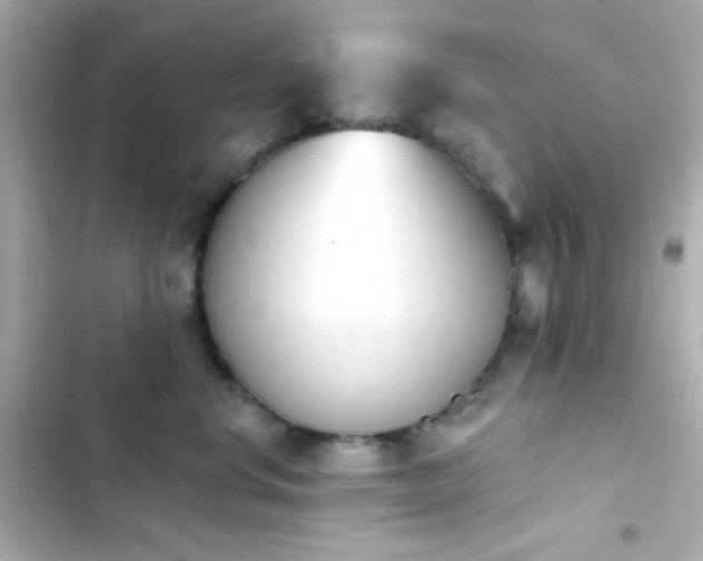 X0000103930668200809191352
