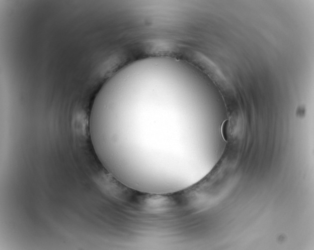 X0000103930669200809191352