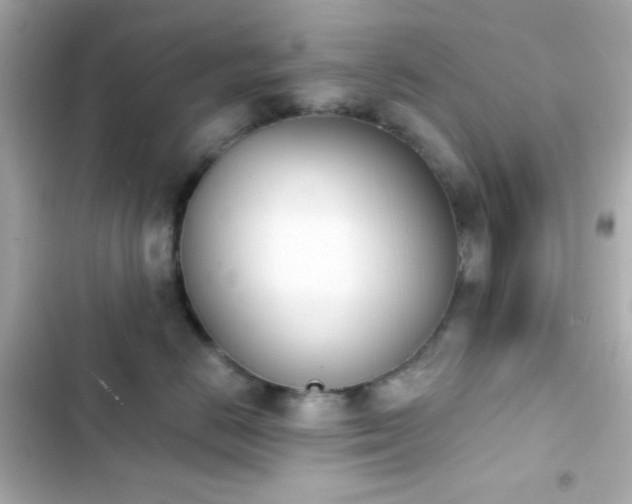 X0000103930670200809191352