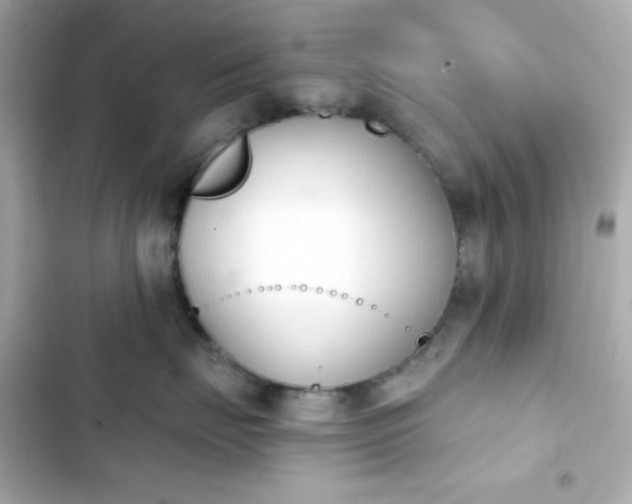 X0000103930671200809191352