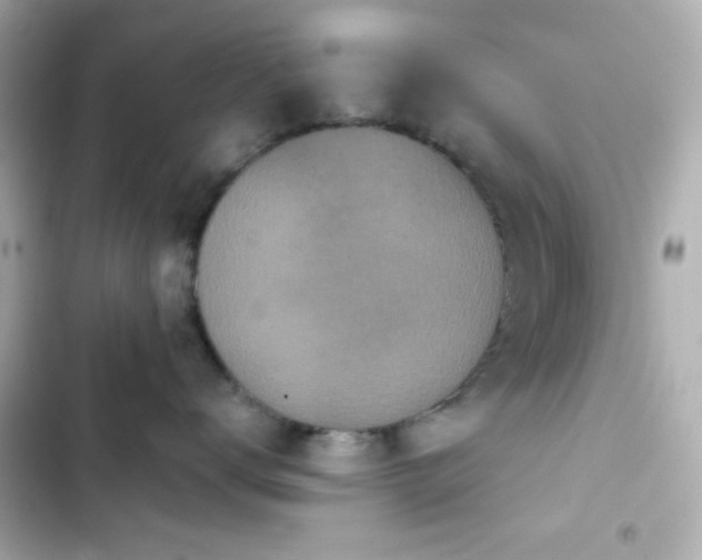 X0000103930672200809191352