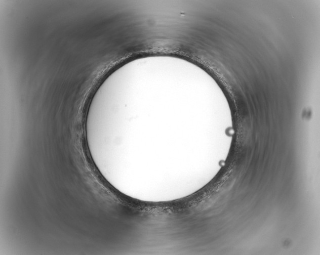 X0000103930673200809191351
