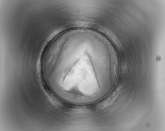 X0000103930674200809191351