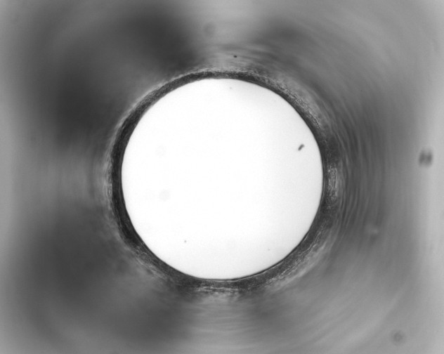 X0000103930676200809191351