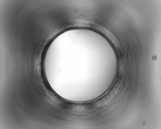 X0000103930677200809191351