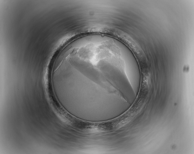 X0000103930678200809191351