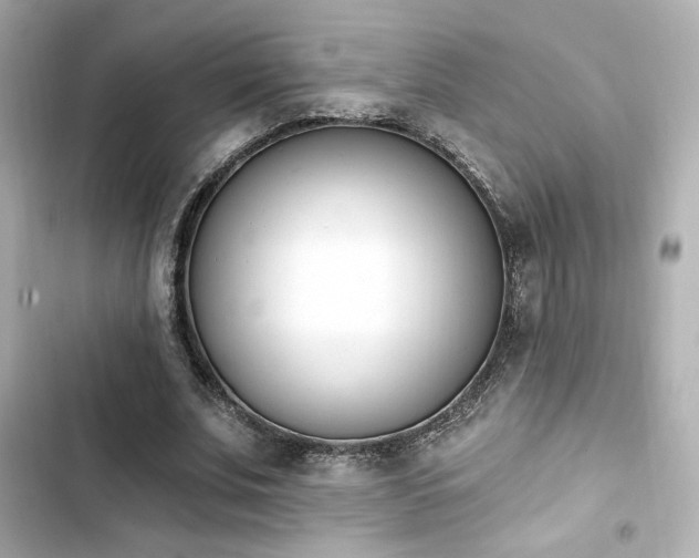 X0000103930679200809191351