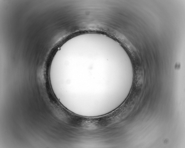 X0000103930680200809191351
