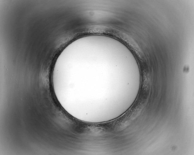 X0000103930681200809191351