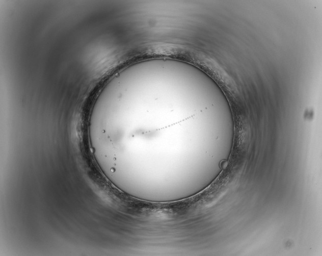 X0000103930683200809191351