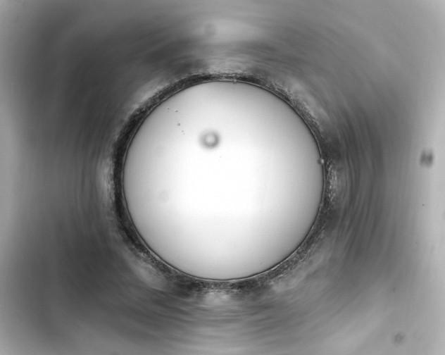 X0000103930684200809191351