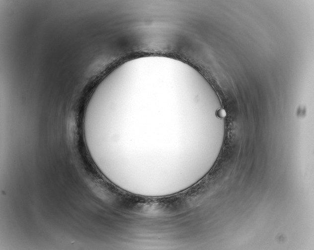 X0000103930688200809191351