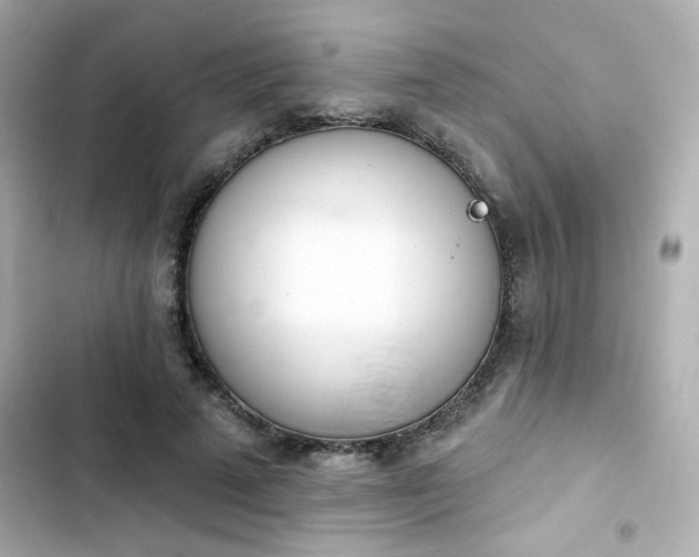 X0000103930689200809191351