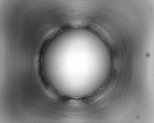 X0000103930690200809191351