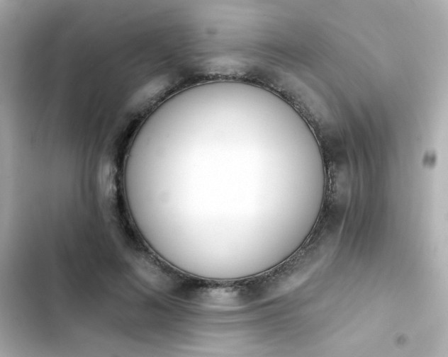 X0000103930692200809191351