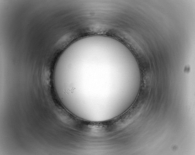 X0000103930693200809191350