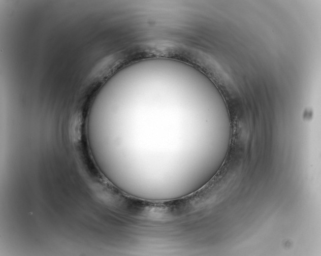 X0000103930694200809191350