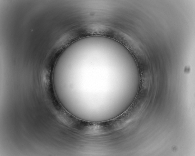 X0000103930695200809191350