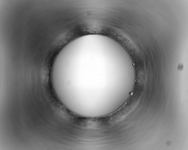 X0000103930697200809191350