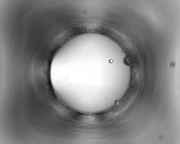 X0000103930698200809191350
