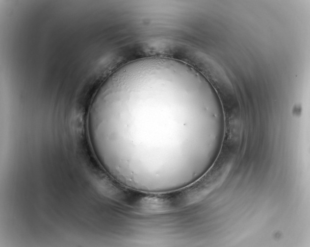 X0000103930699200809191350