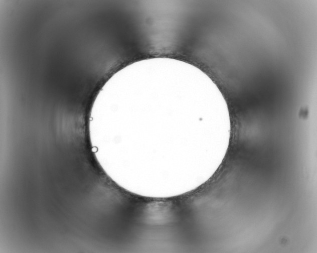 X0000103930700200809191350