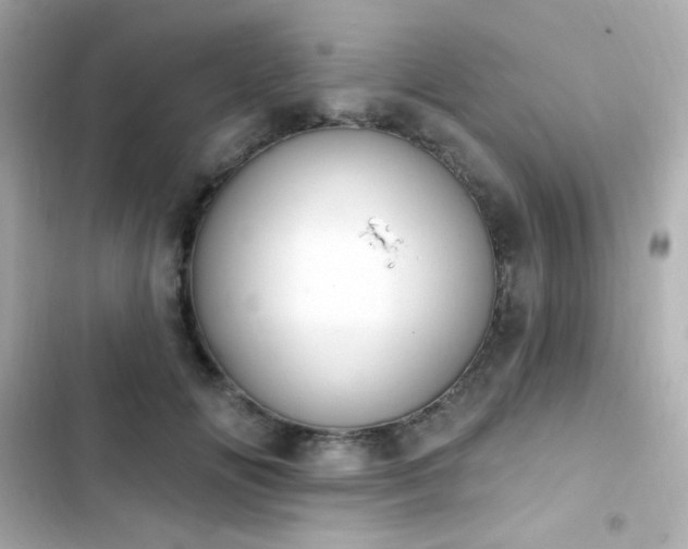 X0000103930702200809191350