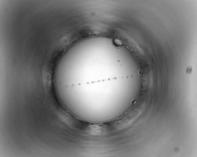 X0000103930703200809191350