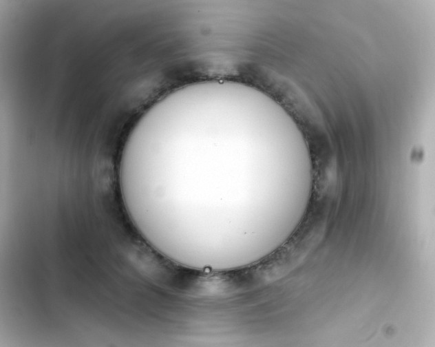 X0000103930704200809191350