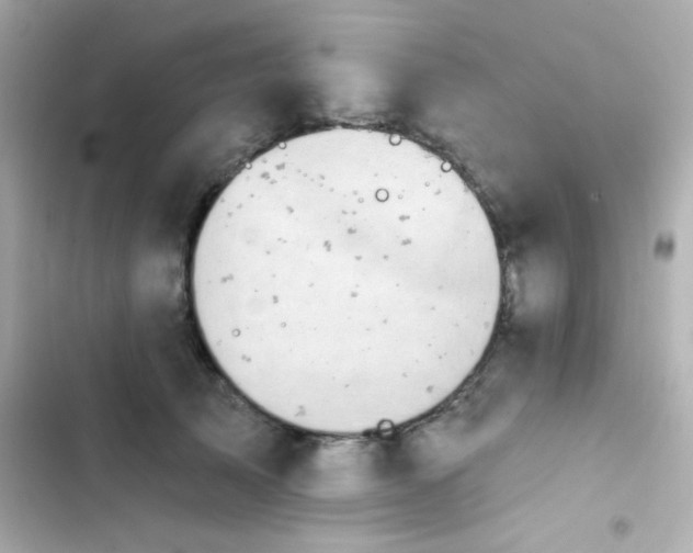 X0000103930705200809191350