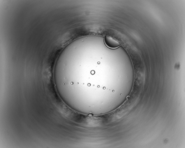 X0000103930707200809191350