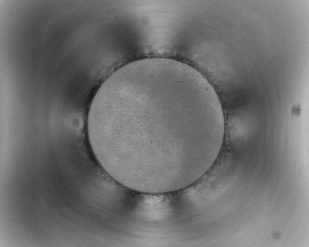 X0000103930709200809191350