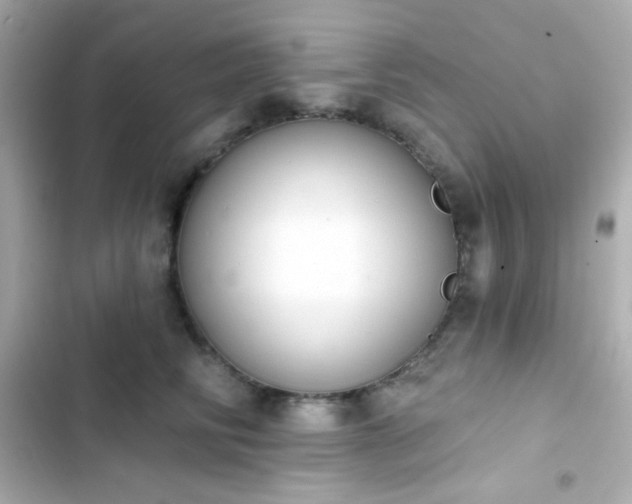 X0000103930710200809191350