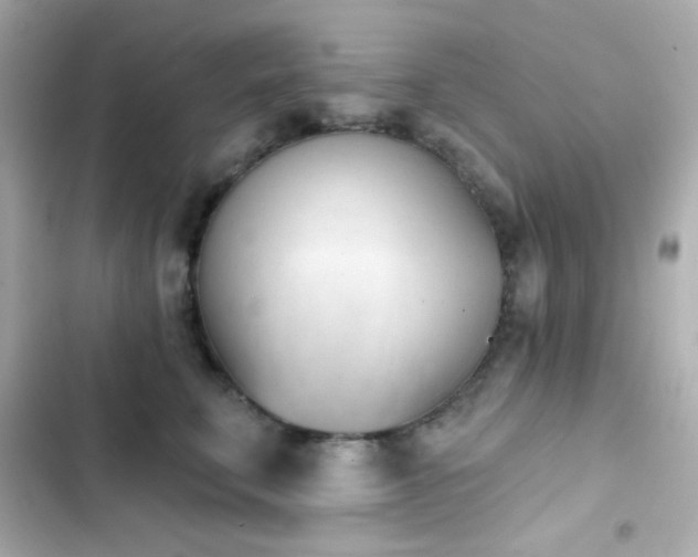 X0000103930711200809191350
