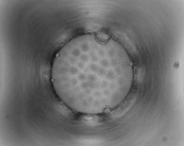 X0000103930712200809191350