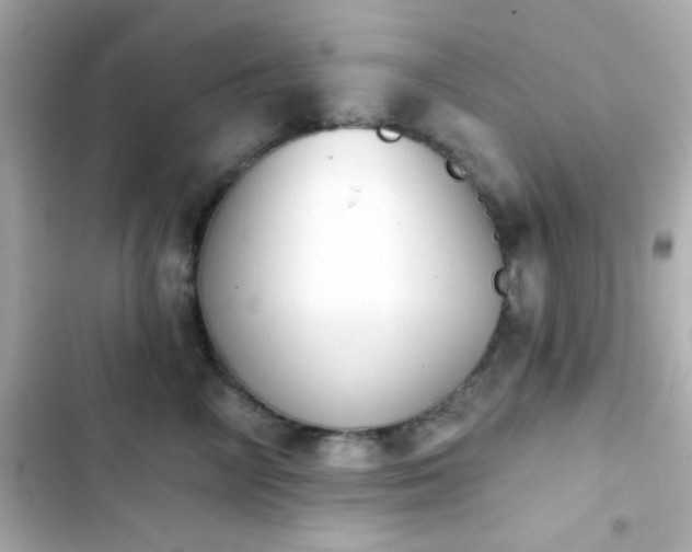 X0000103930714200809191350