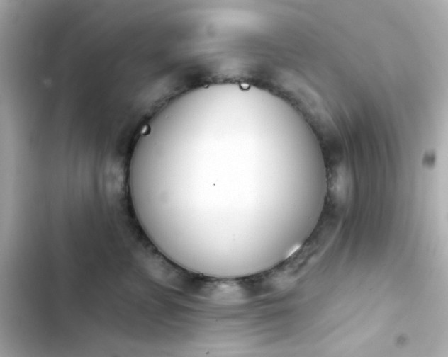 X0000103930715200809191350