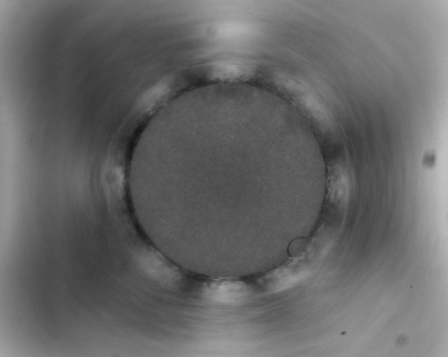 X0000103930716200809191350