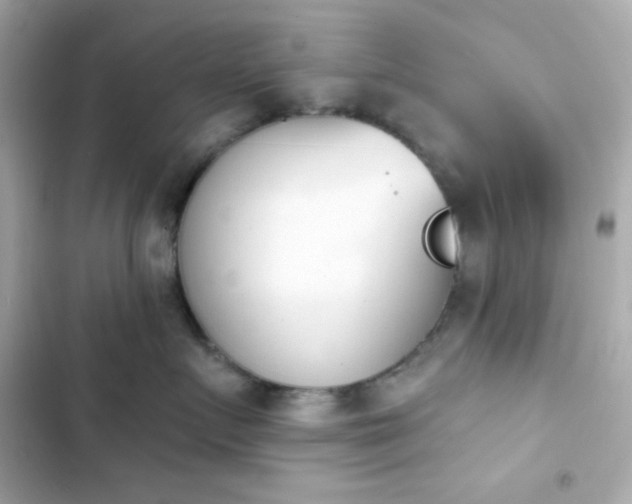 X0000103930719200809191350
