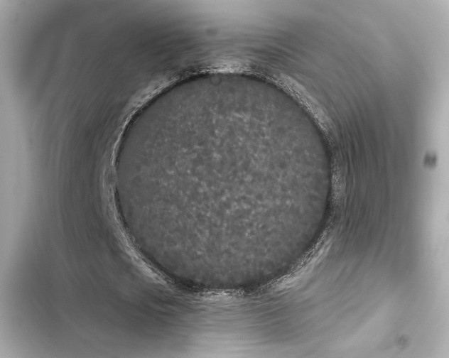 X0000103930721200809191349