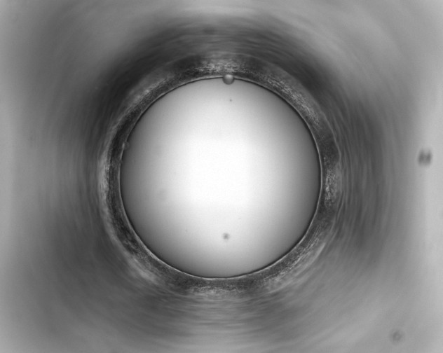 X0000103930722200809191349
