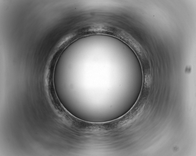 X0000103930724200809191349