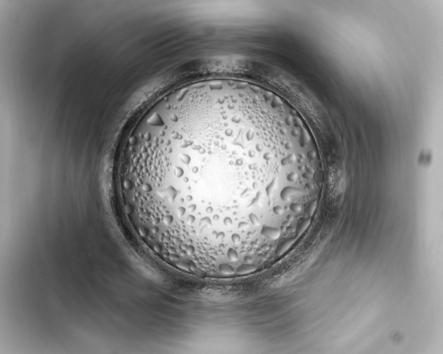 X0000103930725200809191349