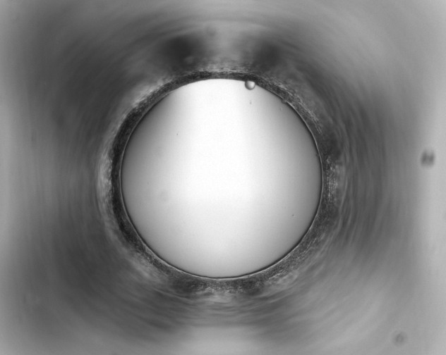 X0000103930727200809191349
