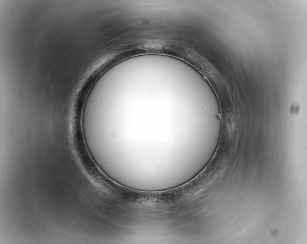 X0000103930728200809191349